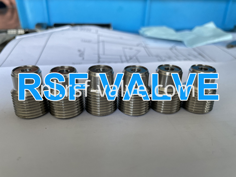 5 Check Valve Of Api 6d Ball Valve Rsf Valve Jpg